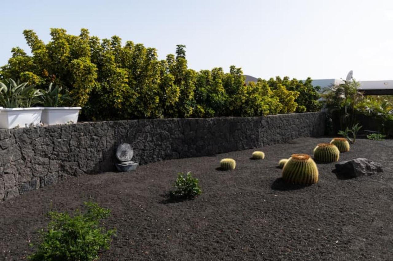 Timanfaya Villa Tahiche