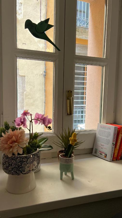 Apartamento Con Mucho Encanto En El Barri Vell , Old Town, De Girona, El Cul De La Lleona *