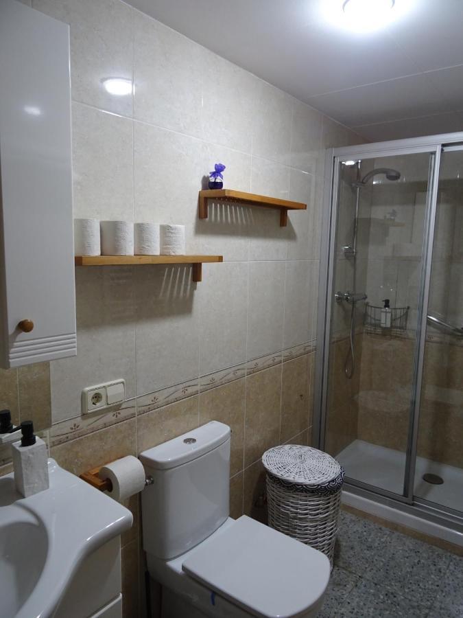 Apartment Pis Acollidor Amb Llar De Foc, Al Centre Camprodon