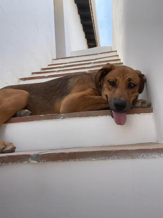 Apartamento Rancho Colmenar