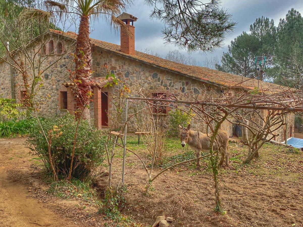 Chalet Masia Janet *