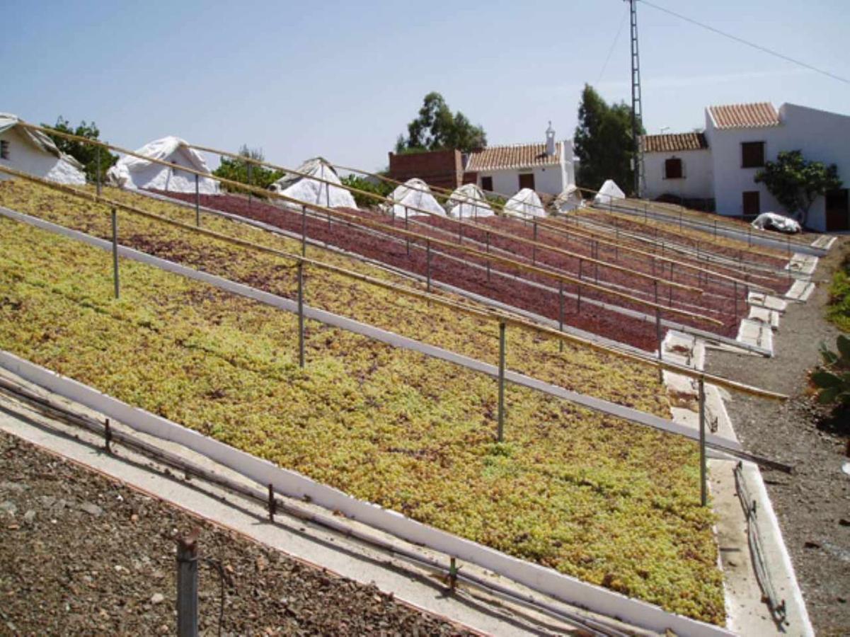 Holiday home Casa Mirador Claras Con Piscina Privada Jardin Iznate