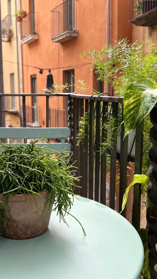 Apartamento Con Mucho Encanto En El Barri Vell , Old Town, De Girona, El Cul De La Lleona Gerona