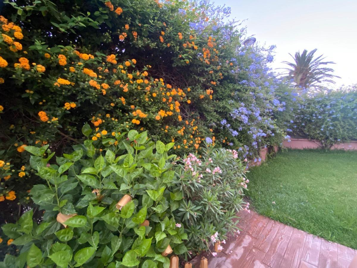 Jardin Sanlucar Apartamento