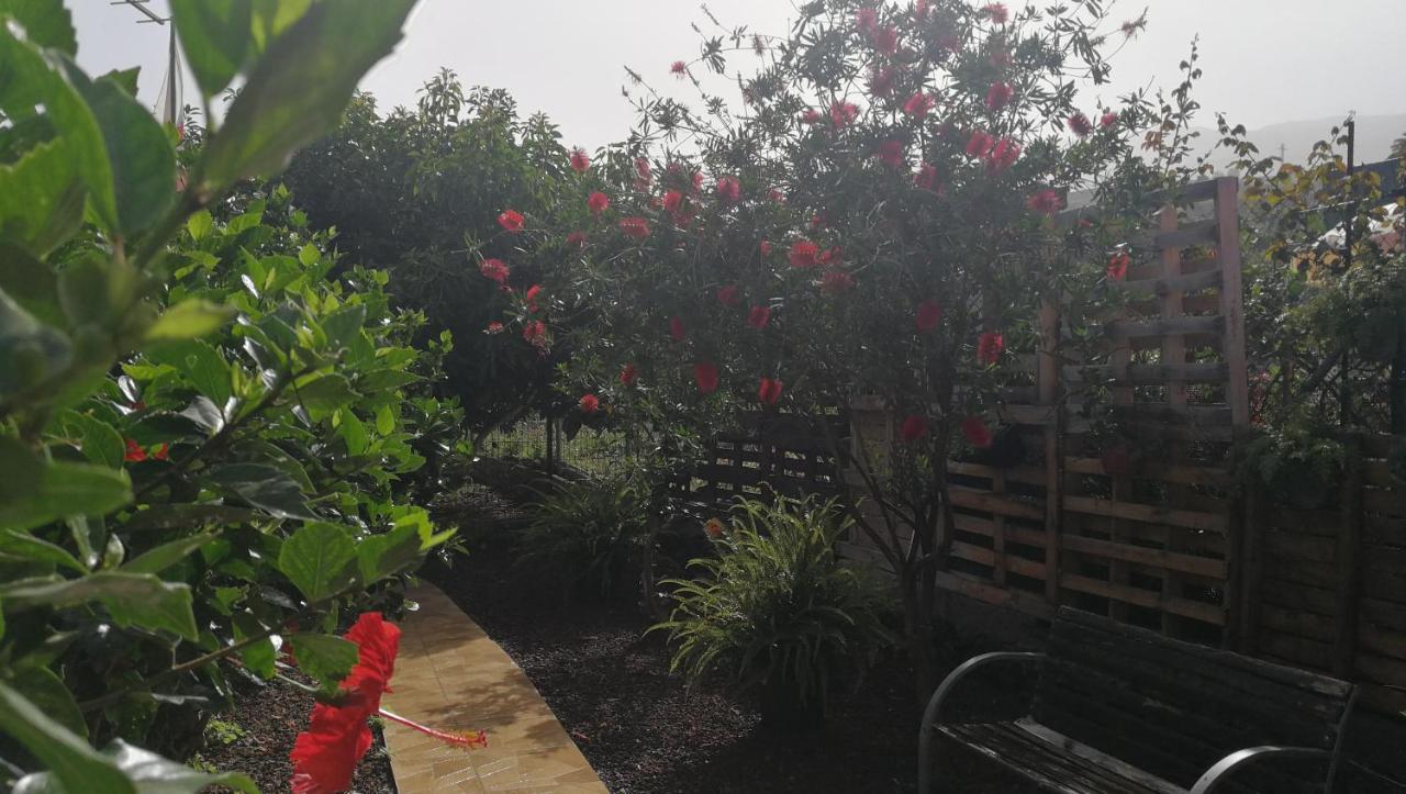 Country house Lugares Comunes Los Realejos