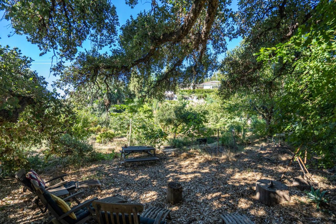 A Natural Retreat Guest house