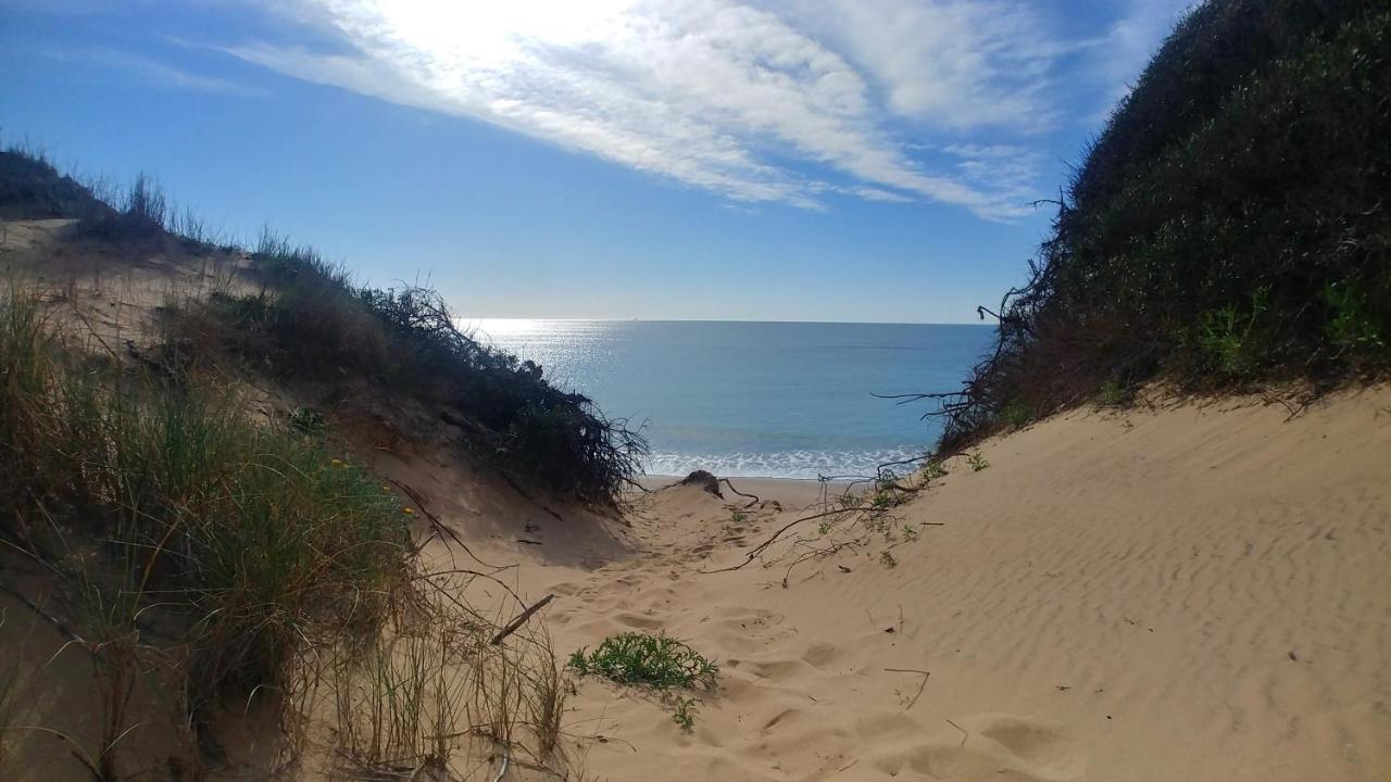 Playa De Punta Candor Apartamento