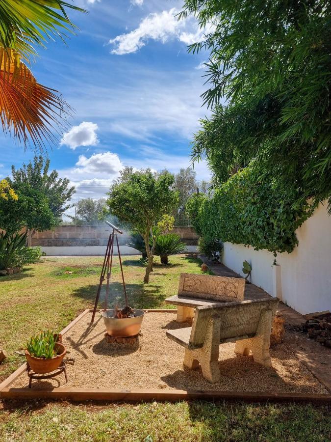Eco Finca Sa Becadeta Holiday home Llucmajor (Mallorca)