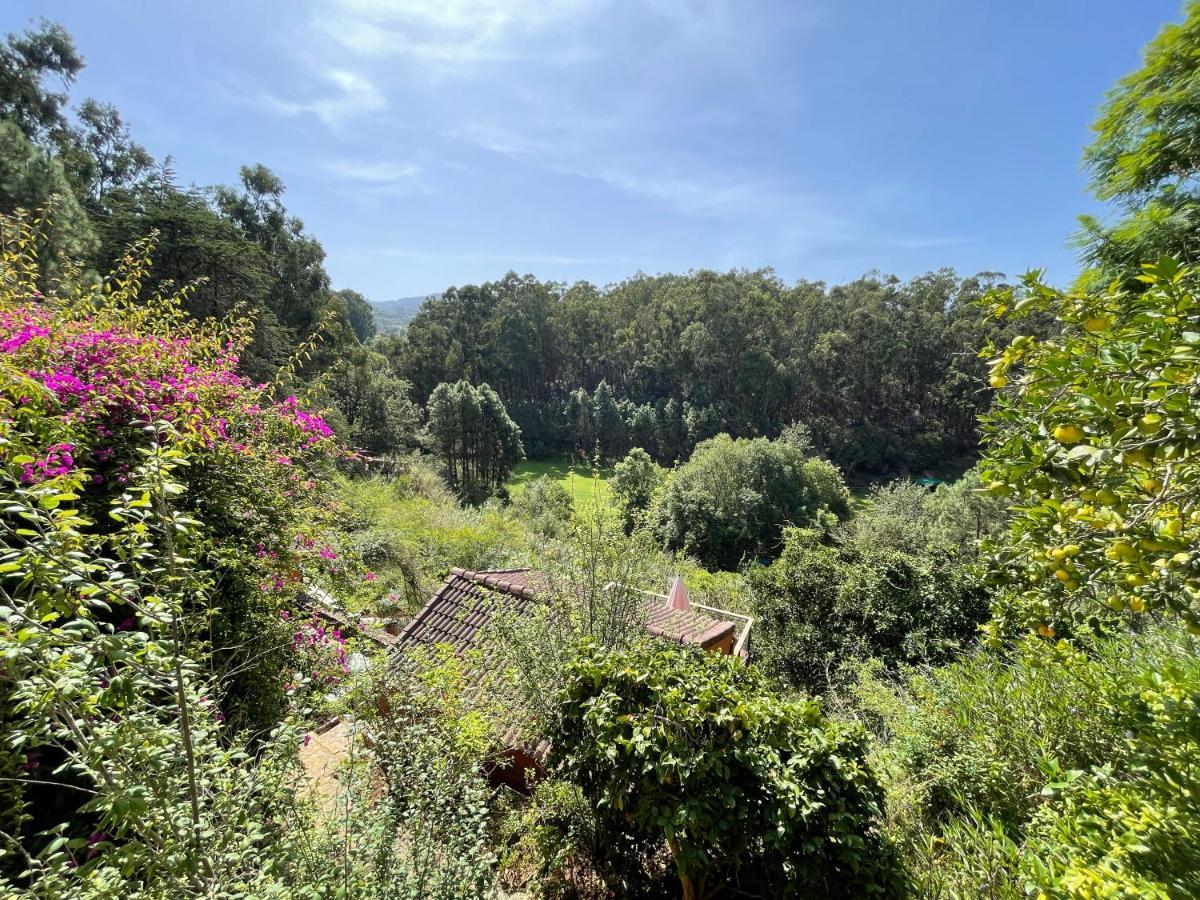 De Invitados En Medio Del Bosque Сasa de vacaciones *