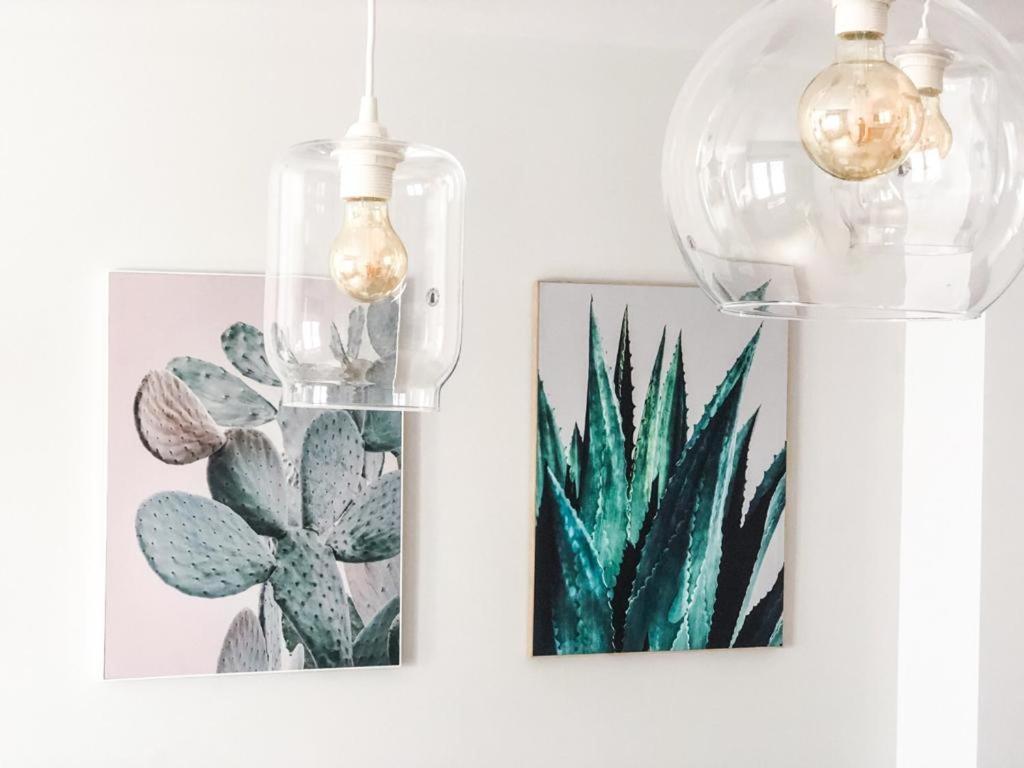 Cactus *