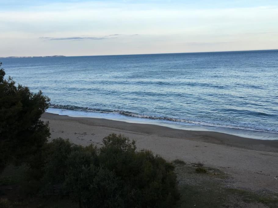 Beach-lovers - 1era Linia Mar Apartment *