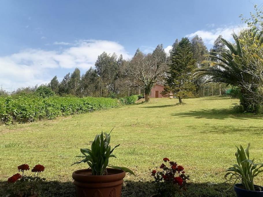Сasa de vacaciones La Casa Azul: Un Lugar Mágico Y Acogedor En