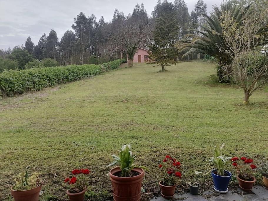Сasa de vacaciones La Casa Azul: Un Lugar Mágico Y Acogedor En Juncedo