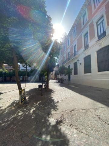 El Rincon De Elena Apartment