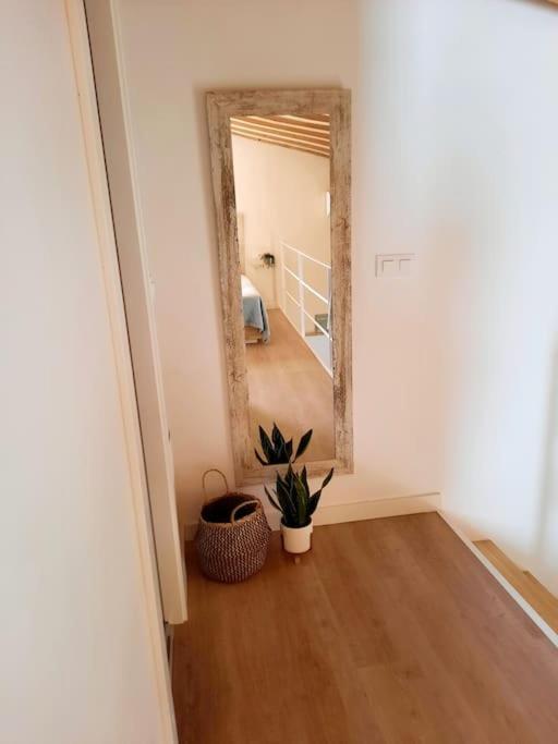 Loft Centrico Con Patio Bodega San Javier Apartment *