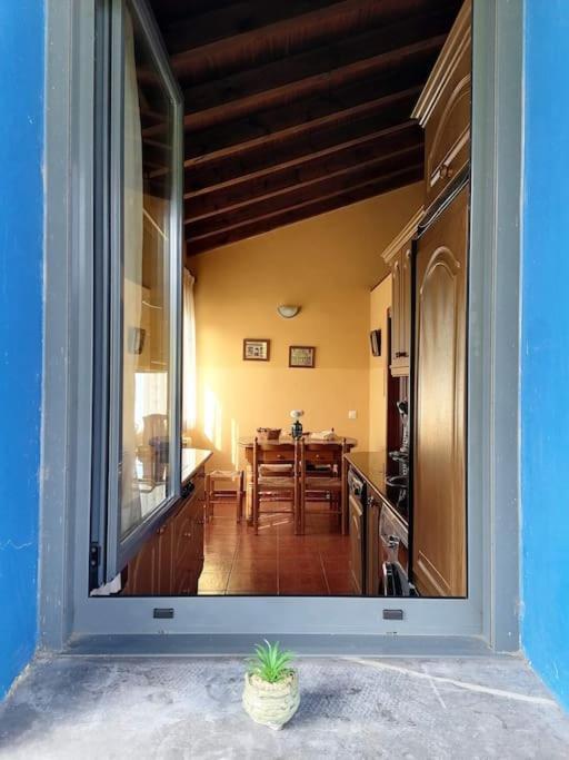La Casa Azul: Un Lugar Mágico Y Acogedor En *