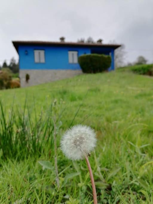 Сasa de vacaciones La Casa Azul: Un Lugar Mágico Y Acogedor En
