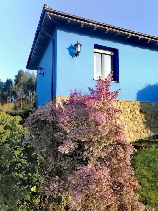 La Casa Azul: Un Lugar Mágico Y Acogedor En *