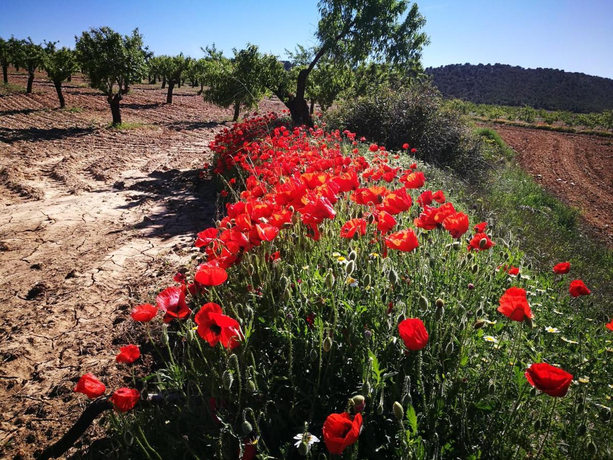 Cortijo Soledad