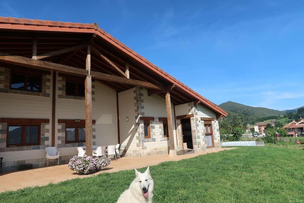 Сasa de vacaciones Ven Y Disfruta En El Corazon De Bizkaia-urdaibai *