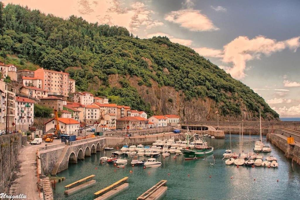 Ven Y Disfruta En El Corazon De Bizkaia-urdaibai *