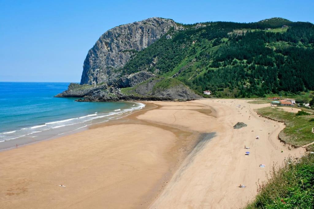 Ven Y Disfruta En El Corazon De Bizkaia-urdaibai