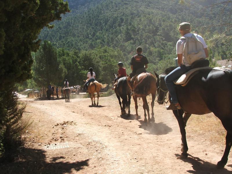 Rurales Campillo Apartment