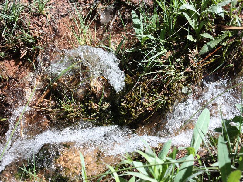 Rurales Campillo * Arroyo Frio