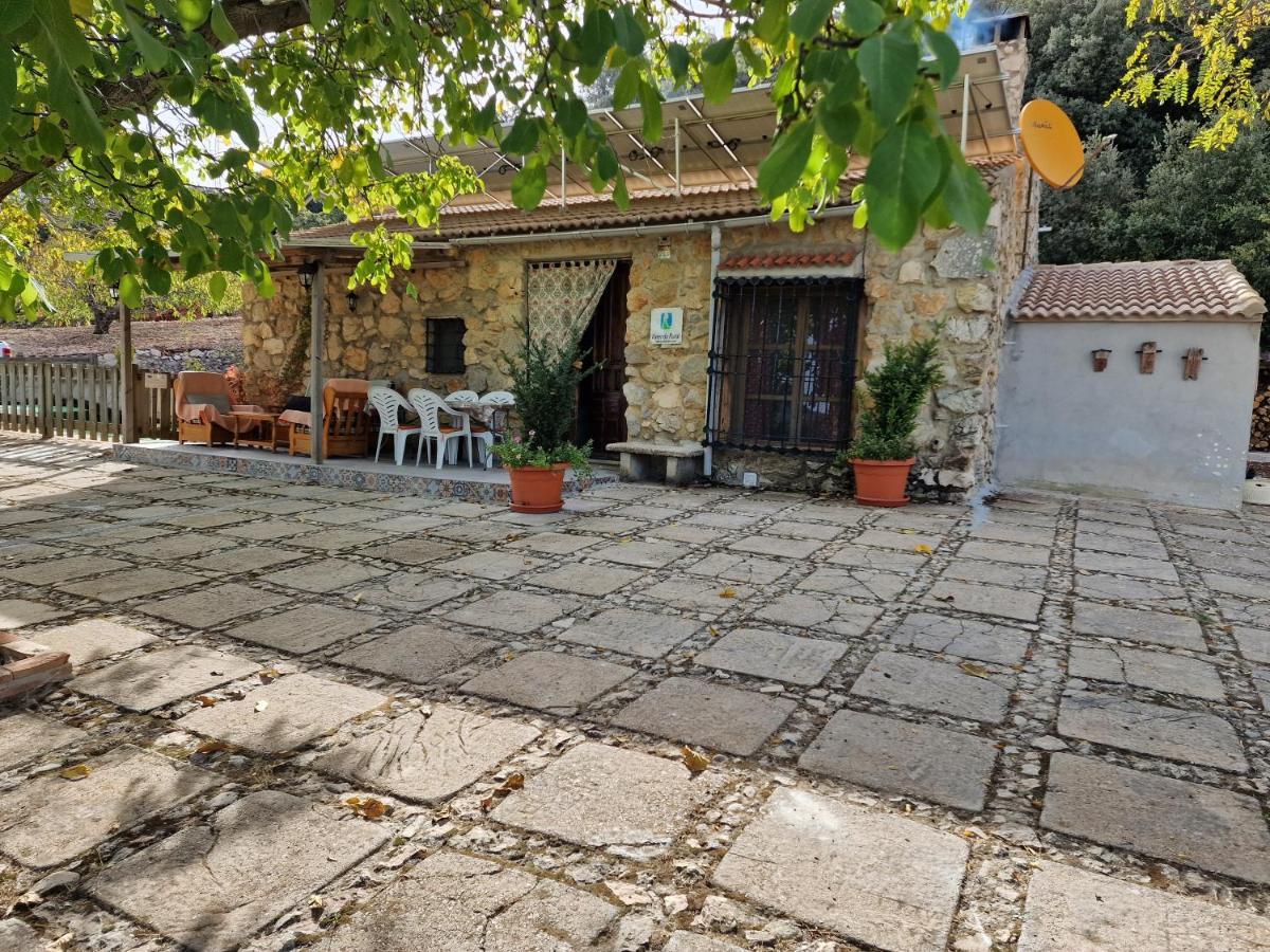 Casa Jurinea Torres (Jaen)