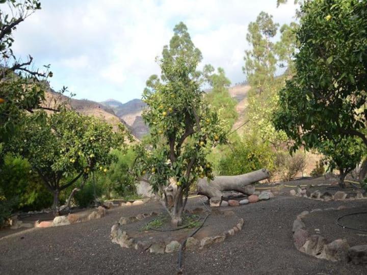 Apartamento Casa Colonia