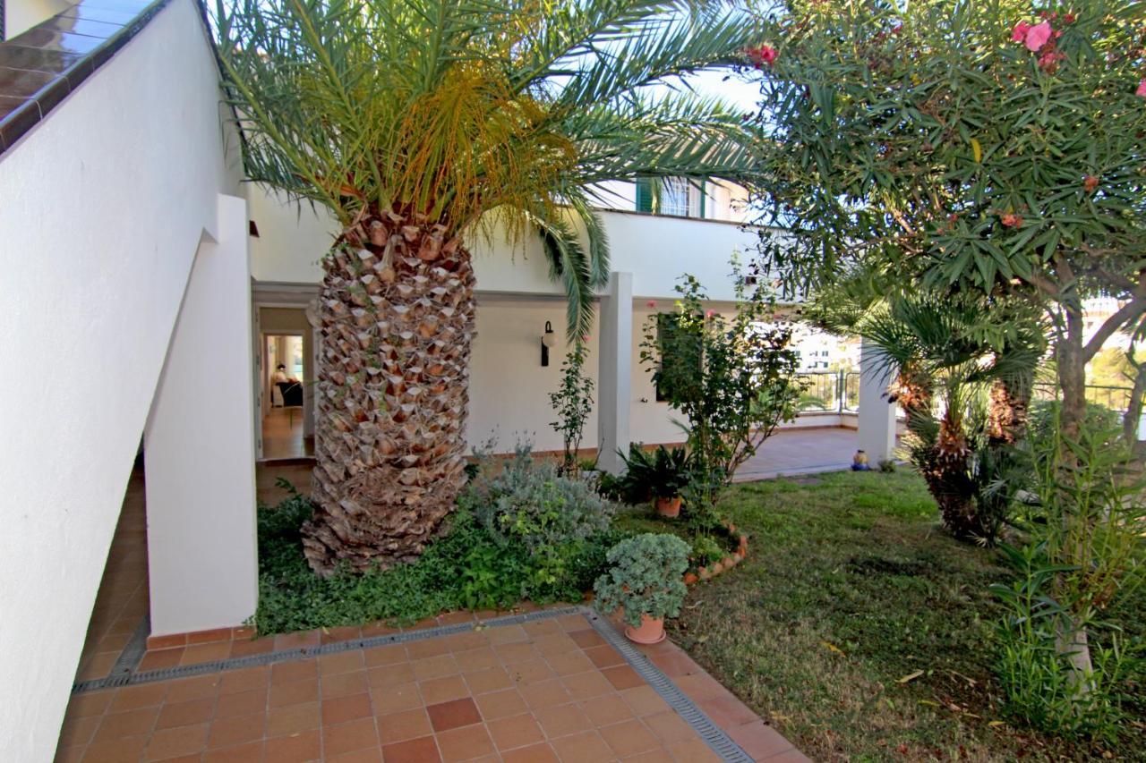 Apartamento Viva - View