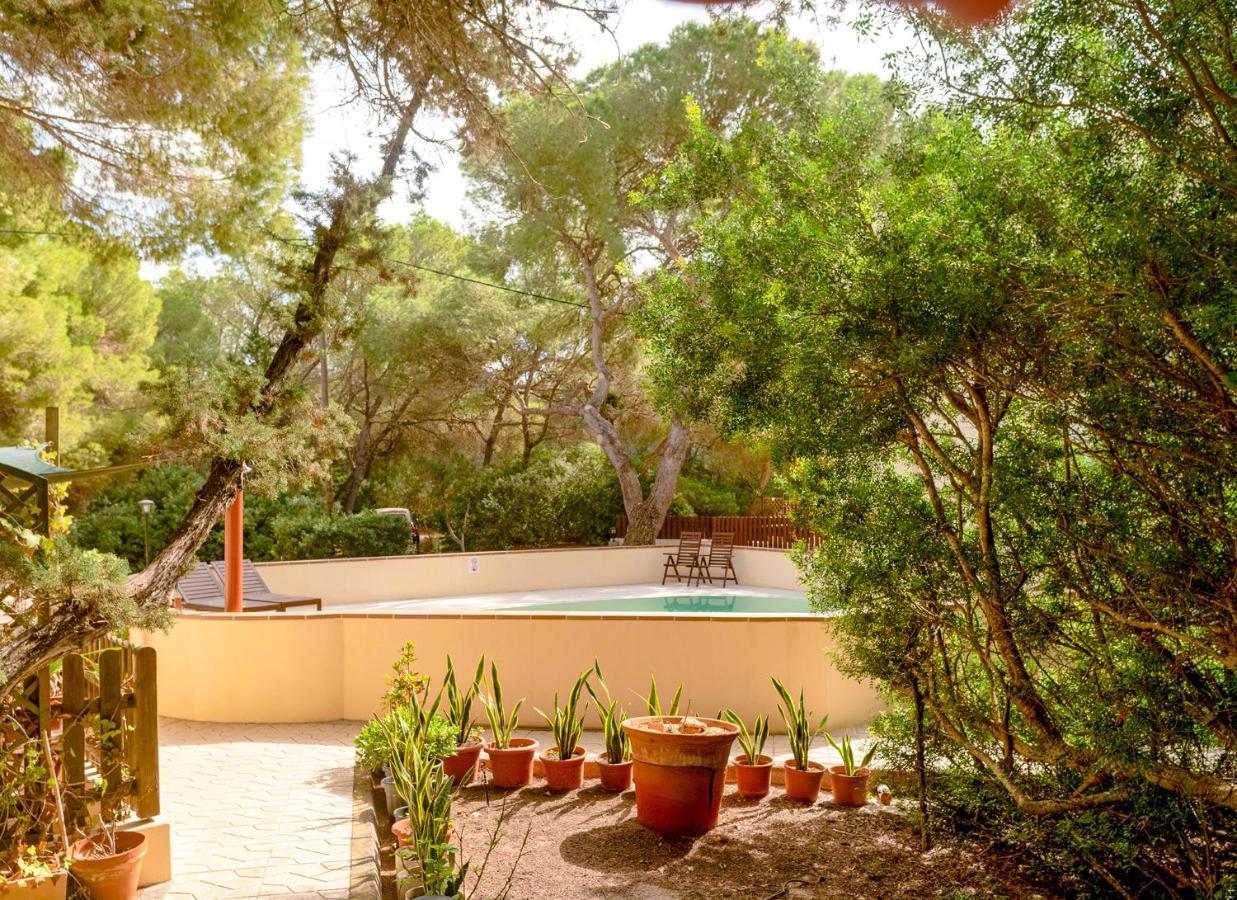 El Pino - Formentera Break Apartamento Es Caló