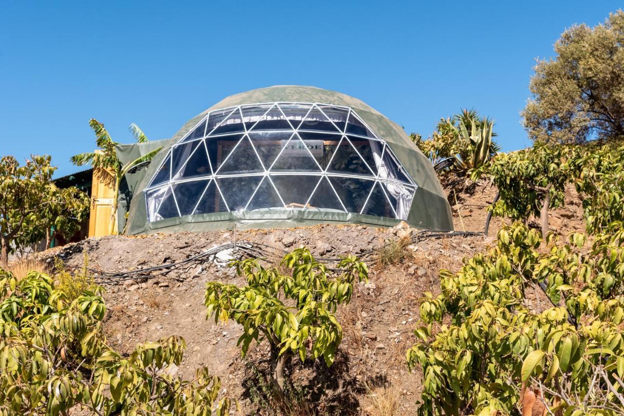 Dome House On Ecological Mango Farm Luxury tent Velez Malaga