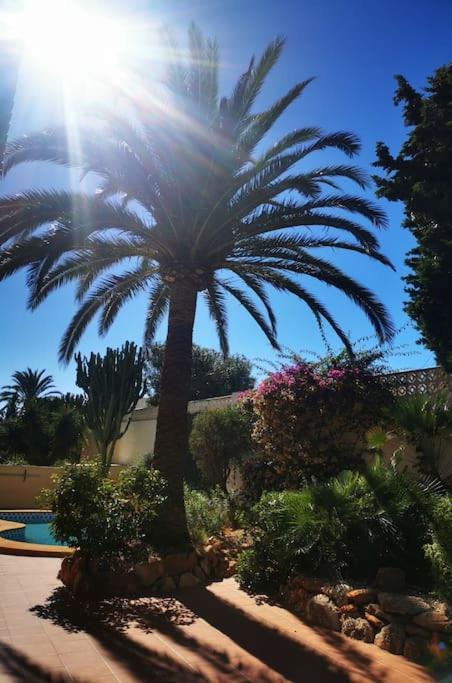 Villa Deanna Magnifique Vue Situe A 1,5 Km De La