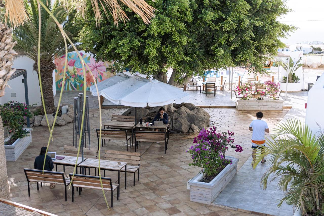 Hostel The Tree House Tenerife El Medano (Tenerife)