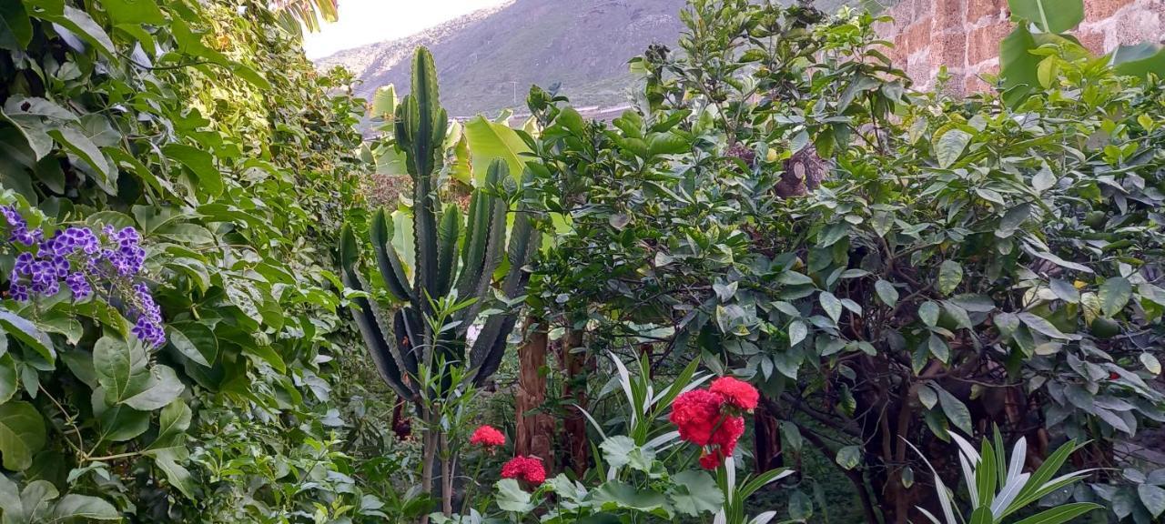 Happy Hello Holiday home Garachico (Tenerife)