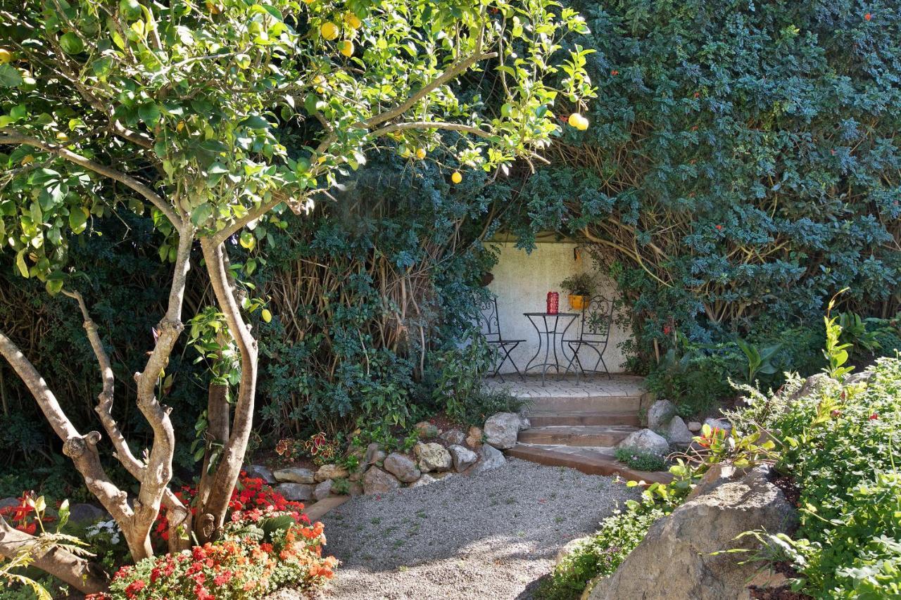 Finca Ecológica Laurisilva