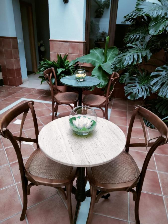 Hotel Hotel & Spa Plaza Arriate