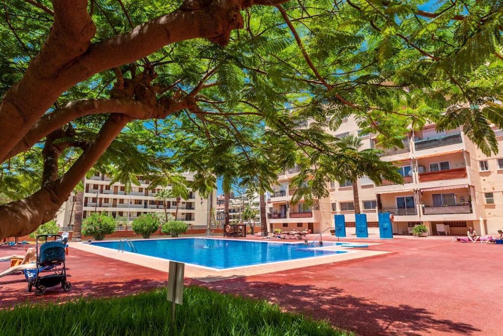 Tantul Crissol 211 Apto 1hab * Los Cristianos (Tenerife)