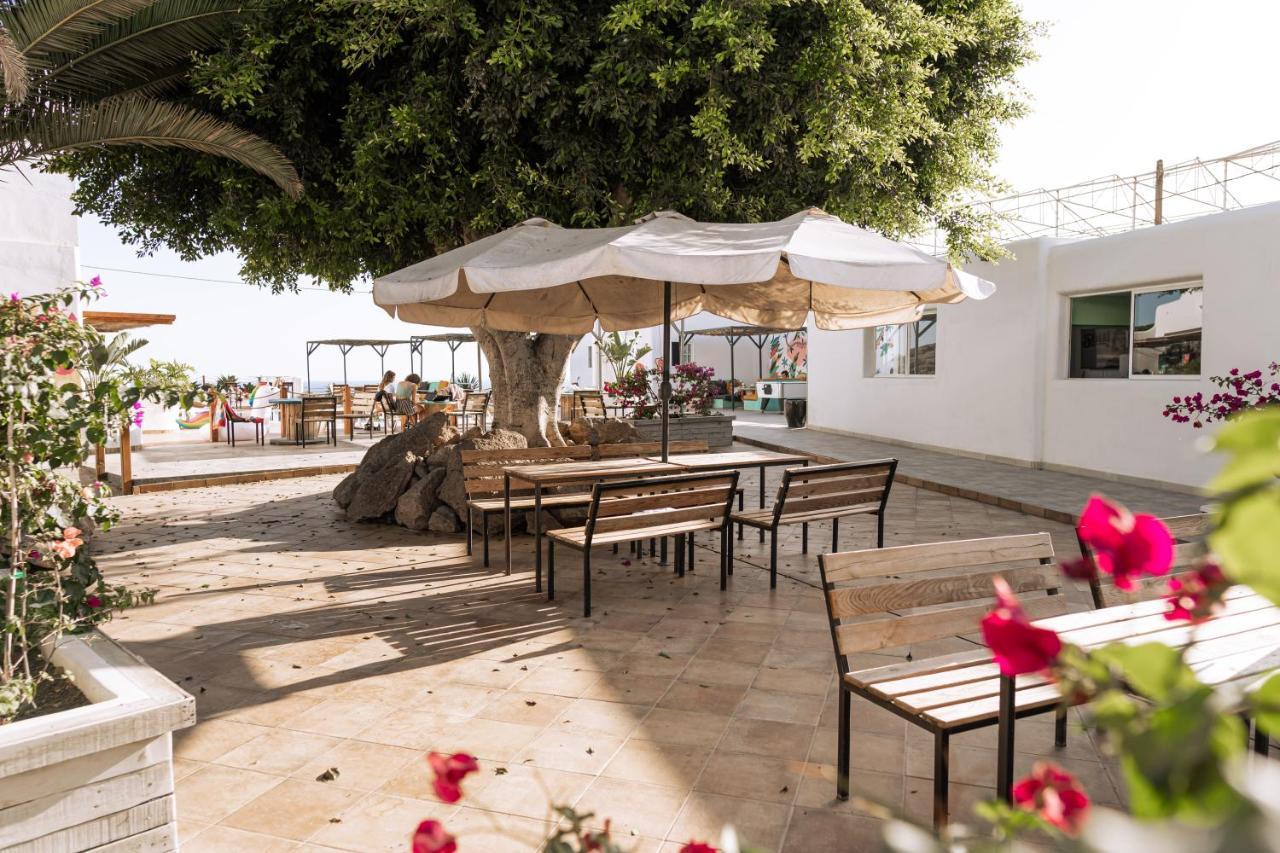 Hostel The Tree House Tenerife