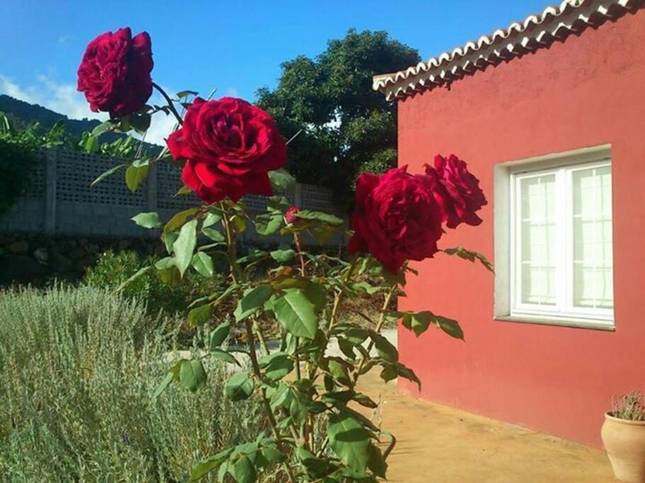 Casa Isa, Ideal Descansar.