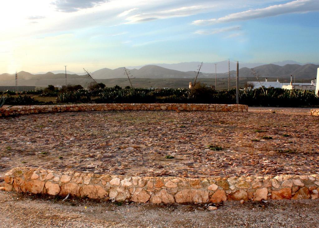 Olivares Rural Apartamento Los Albaricoques