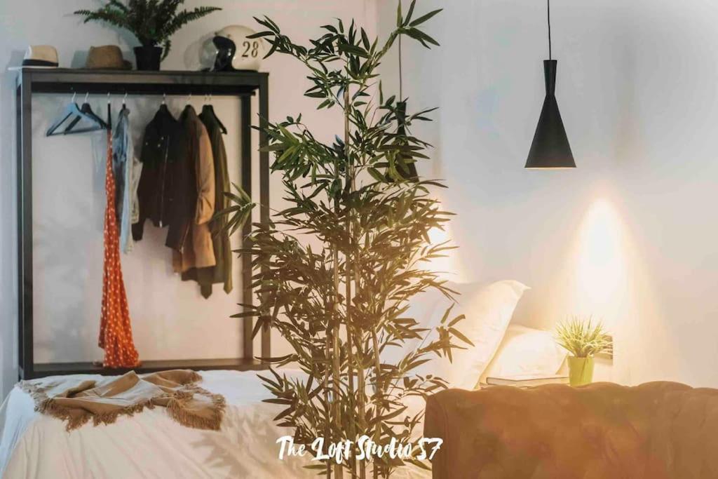 Apartment The Loft 57 - Vut.3352as *