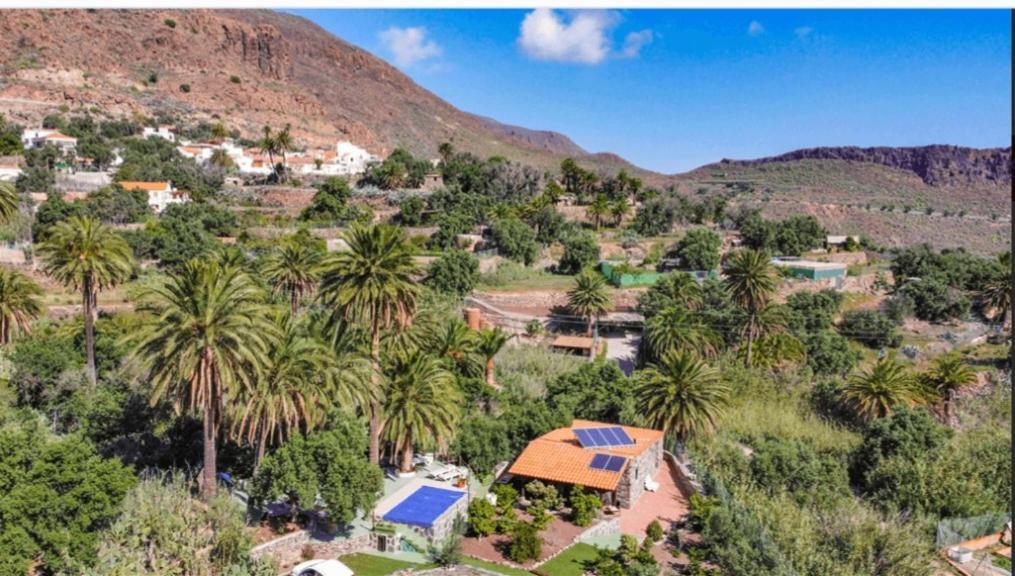 Сasa de vacaciones Palmeras