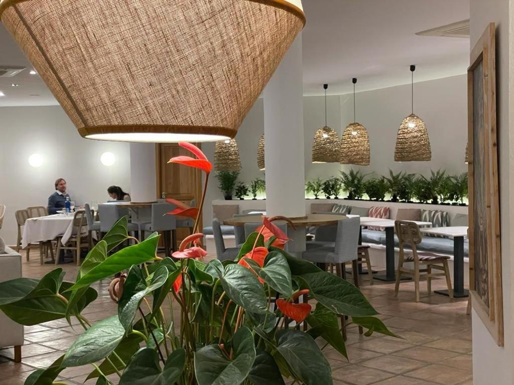 Hotel El Tio Kiko 3*