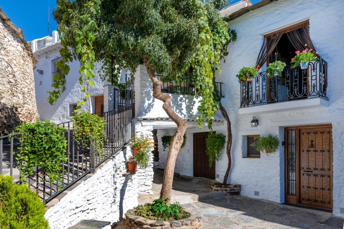 Casa Antonia La Alpujarra Capileira