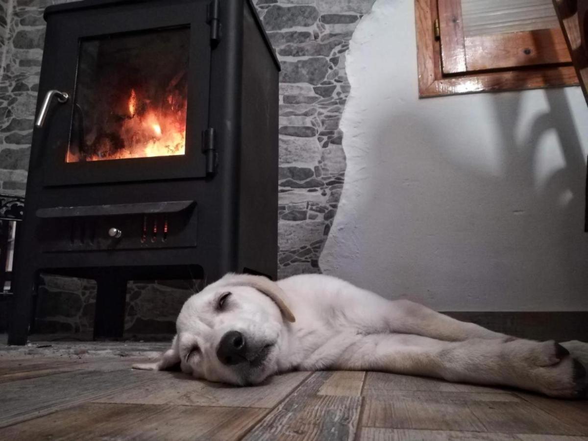 Hauzify I Ca La Nena Morena *