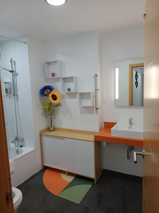Apartamento Novo Sur. *