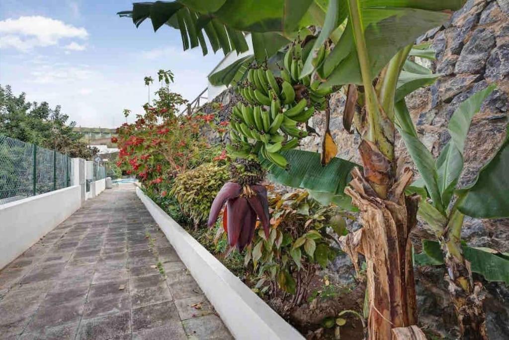 Paradise Studio Belair Wifi, Piscina, Parking Apartamento