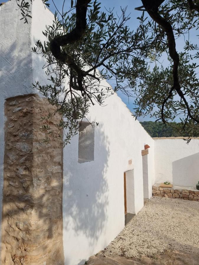 Eco Finca Casa Baranku' Villa